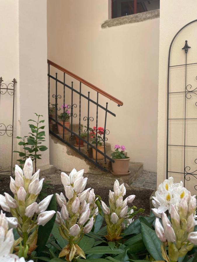Historical Zaffir House - Market Square Левоча Экстерьер фото